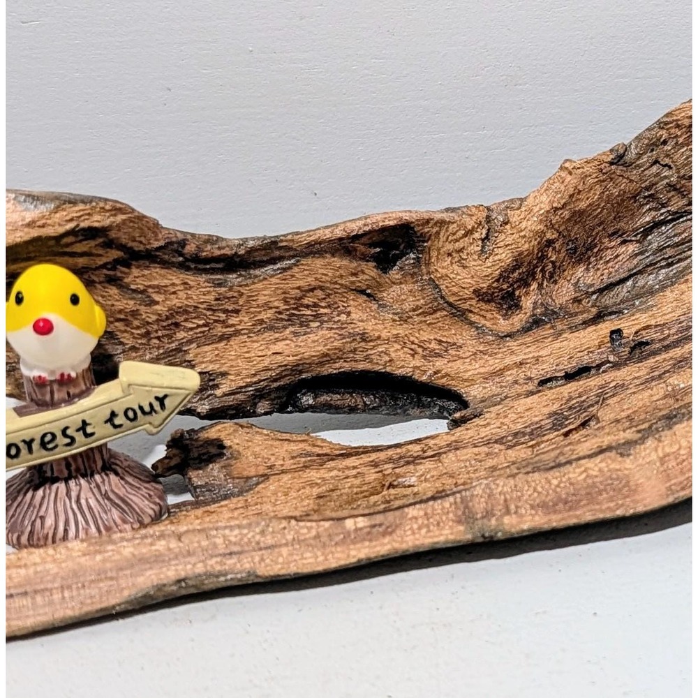 Black Locust Hollow Root Fairy garden or Gemstone Display. 9" x 2.5".